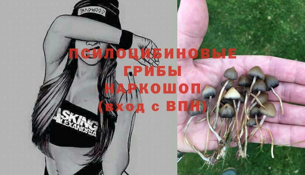 круглые Алзамай