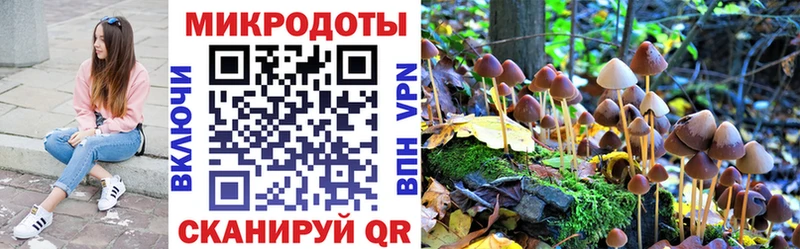 Псилоцибиновые грибы ЛСД  Тула 
